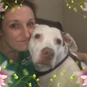 Meet your Posher, Monica